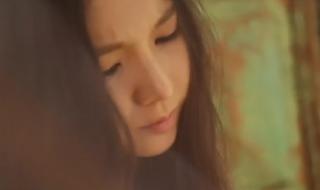 fiestar组合 fiestar组合